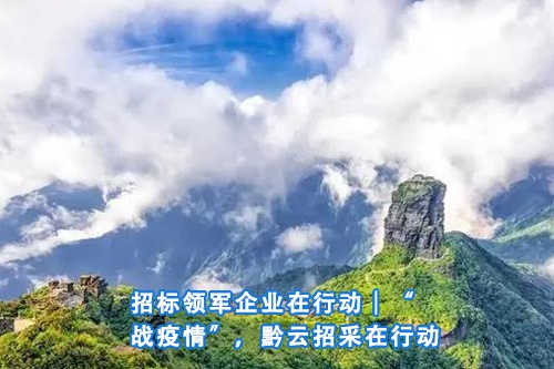 招标问答(86)|如何处理单一来源采购公示的异议?